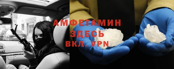гидра Алексеевка