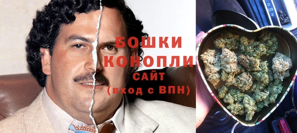 гидра Алексеевка