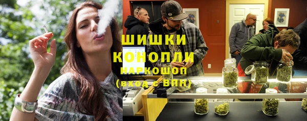 гидра Алексеевка