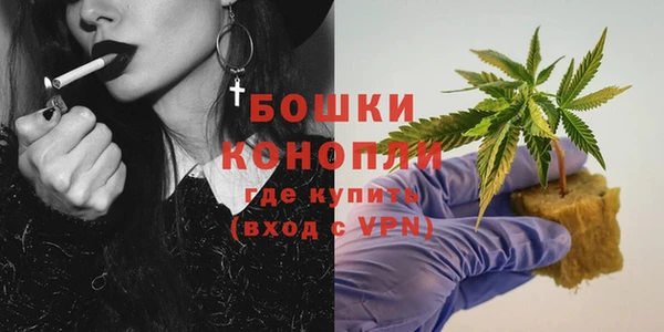 гидра Алексеевка