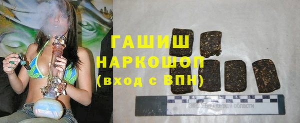 гидра Алексеевка